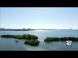 ‘Public treasure’: Activists hope Bird Key doesn’t fly off to developer