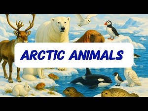 Arctic and Antarctic Animals for Kids | Learn Polar Animals with Pictures
