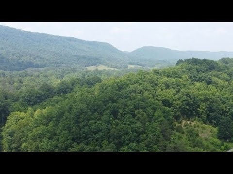 There is no { I } in TEAM. Jason Jensen let me show you how our REAL Private Investigator does it.