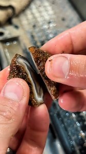 726K views · 4.9K reactions | Cutting beautiful agate stone | Blue Light Gemstones | Facebook