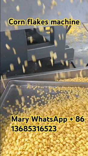 How to make the perfect corn flakes #cornflakesmachine #cornflakes #extruder #foodextruder #factory