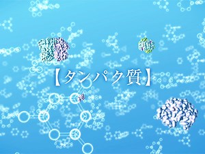 Research45「高速AFMが解明するタンパク質の世界」   | 金沢大学