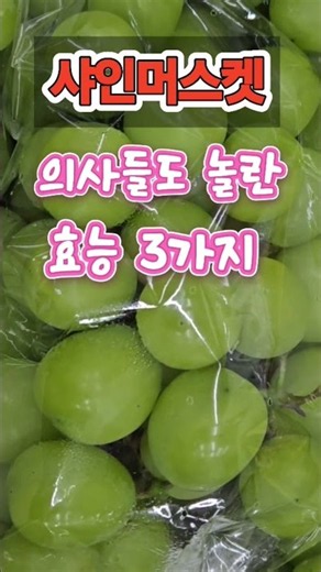#의사들도 놀란 샤인머스켓 효능 3가지 #맛있게 드시고 건강하세요 #