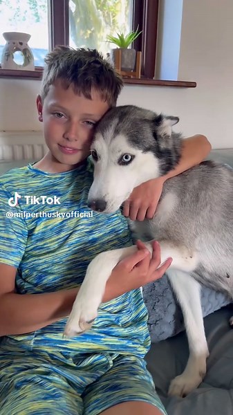 Husky Protects Little Friend in Adorable Dog Video