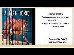 A Tiger in the Zoo - Class 10 English | Poem Full Explanation with Vocabulary | In 30 Minutes
