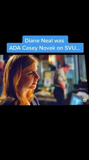 Diane Neal's Transformation on Law & Order: SVU