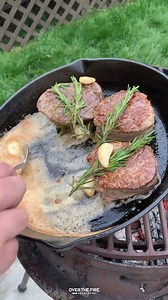 Grilled Bison | Over The Fire Cooking by Derek Wolf