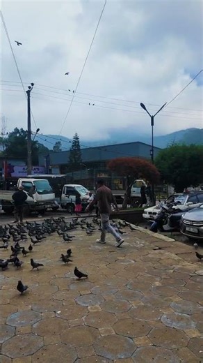 উড়ছে পায়রা গাইছে গানমাহে রমজানের আহ্বান #Ramjan