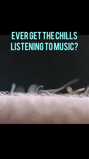 What song gives you chills #frisson #frankocean #musictheory #LearnOnTikTok #neuroscience #sciencefa