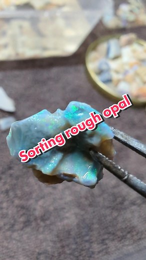 Learning to polish opal means you first need to get rough opal. That comes with the fun of sorting opal and seeing what you got! Also, don't put Ethiopian opals into water! #opal #pretty #rocktok #australianopal #lapidary #stilllearning #soontobejewelry