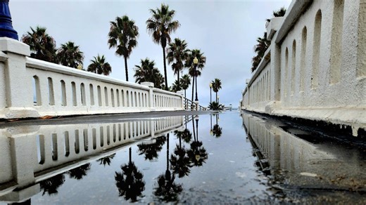 Rainfall totals: How much rain did San Diego County get during recent storm?