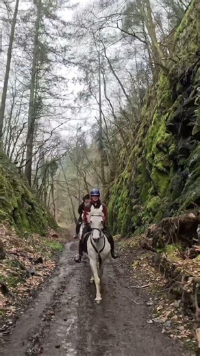 filming horses with a GoPro from an Ebike! #horse