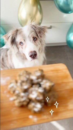 Easy dog ​​cake recipe 🥳🐶