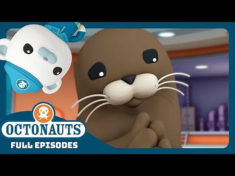 ‪@Octonauts‬ - 🪸 The Harbor Seal 🦭 | Season 3 | Full Episodes | Cartoons for Kids