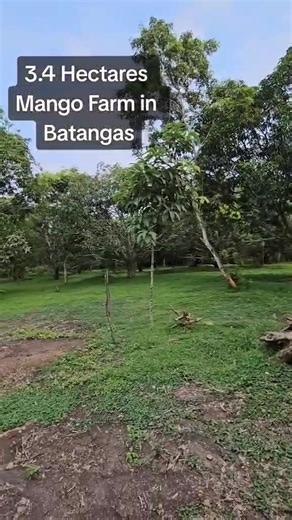 Farm Lot in Brgy. Libato, San Juan, Batangas Lot Area: 34,069 sq.m or 3.4 Hectares 📜Clean Title Lot Tour Here: 👉 https://www.youtube.com/shorts/ANnfDtrD3DY Google map 👉 https://www.google.com/maps/@13.8066753,121.339604,190m/data=!3m1!1e3?entry=ttu&g_ep=EgoyMDI1MDQwMi4xIKXMDSoASAFQAw== 🌿 Farm Details: 🛣️ Located Along 2-Way Concrete Barangay Road 🚗 Highly Accessible – Only 5 mins drive to National Road 🥭 With Over 100 Mango Trees Other Trees 🌳 🏡 Partially Fenced 🌾 Ideal for Farming 🏖️