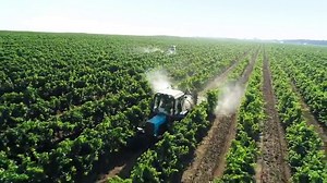 EduTownSDGs Goal.15 解説映像