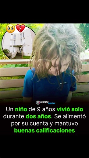 Un niño francés de nueve años habitó solo en su vivienda durante casi dos años tras ser abandonado por su madre. A pesar de residir a solo cinco kilómetros de distancia con su pareja, la mujer dejó al menor sin suministros básicos como electricidad, calefacción o agua caliente. Para sobrevivir, el pequeño se alimentaba de conservas, pan y tomates que cultivaba en su propio jardín. Increíblemente, mantuvo su rutina escolar diaria con excelentes calificaciones y una apariencia impecable, lo que ev