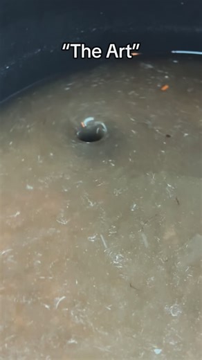 Benny on Instagram: "Art vs artist 🦎💦 Water monitors are powerful, messy, and incredibly intelligent lizards. Substrate gets moved, water gets cloudy, and regular maintenance is required. This is just part of having water monitors—if you want them, you’ve got to do the upkeep. It’s part of the game. • • • #reptile #reptiles #monitorlizard #viral #trend"