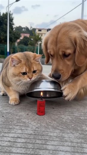 ОЙЙЙ, ЧТО СЕЙЧАС БУДЕТ!?? 🫣