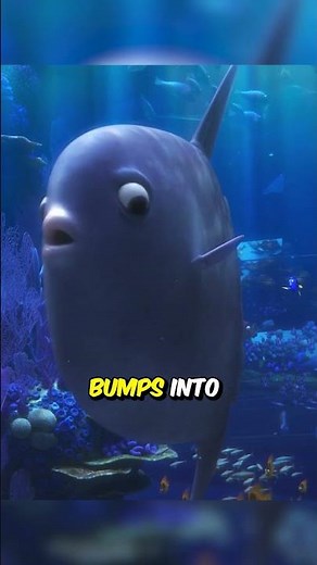 Did You Know In Finding Dory