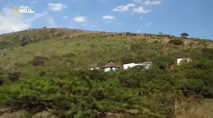 Vad Dél Afrika TERMÉSZETFILMEK