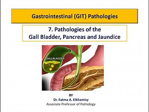 7. Pathologies Of The Gall Bladder - Pancreas & Jaundice