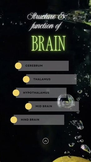 Structure and Function of ' Human Brain' | Class 10 Science | #brainstructure #humanbrains