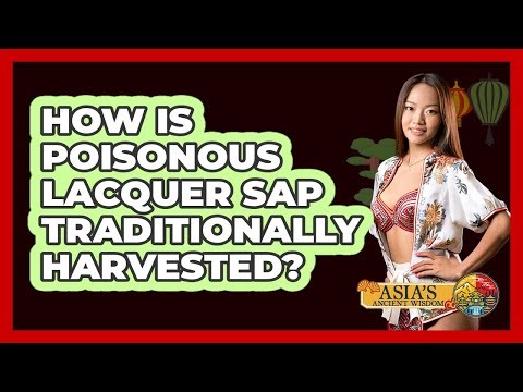 How Is Poisonous Lacquer Sap Traditionally Harvested? - Asia's Ancient Wisdom