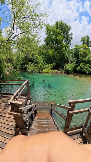 858K views · 12K reactions | This river has an underwater volcano and it’s located in Brazil  #superreels #viajanoreels #fblifestyle | Destinos Mato Grosso do Sul | Facebook