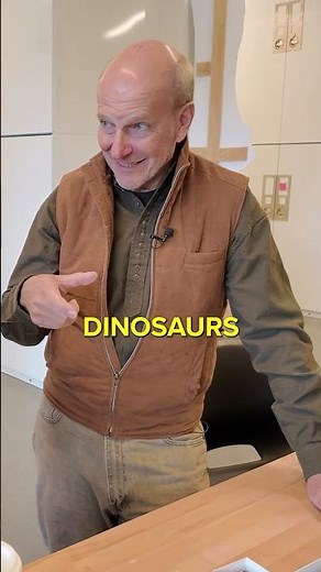 From extinction to evolution. ☄️🦕🌎