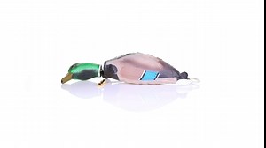 D-ICE Bird Training Dummy - Mimics Dead Duck Bumper Toy - for Training Puppies or Adult Hunting Dogs - Teaches Mallard and Waterfowl Game Retrieval - Complete with Brass Dog Training Whistle