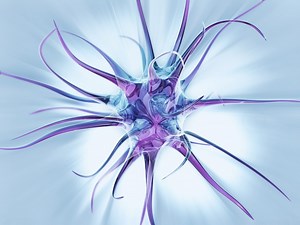 The Genetic Building Blocks of Brain Activity | Genetics And Genomics