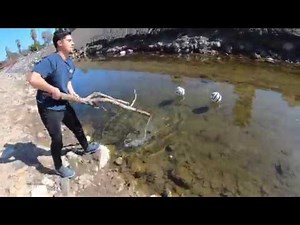 Brea Creek Golf Course | Foot Golf