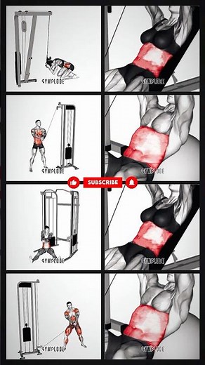 Best Abs Workout with Cable Machine #gym #fitness #exercise #sixpack #corestrength #shorts