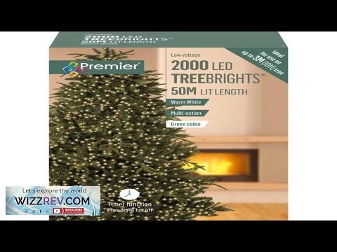 Premier 2000 LED Multi Action TreeBrights Christmas Tree Light Timer WARM WHITE