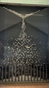 Check out this normal distribution 😱 The Galton board! #math #math #statistics #normalDistribution