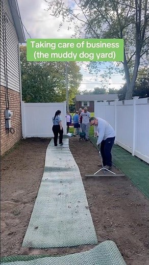 Mud to green install 🌱🐶 Natura Hybrid Turf reinforces real grass for a mud-free, dog-proof yard.