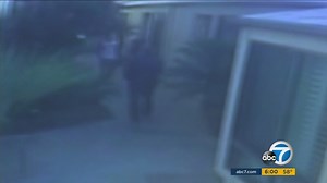 Video shows Anthony Michael Hall confrontation with neighbor