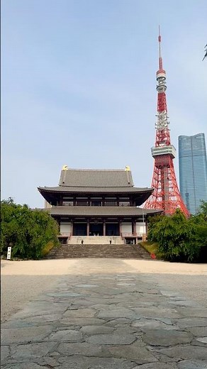 Tokyo’s Most Iconic Temple View｜Zojoji Temple 東京を象徴する寺院の景色｜増上寺