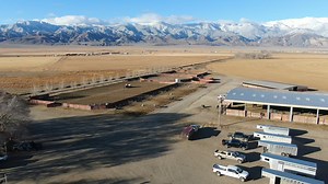 Grab your seat for Cowboy Week and watch 12 hours of footage with master horsemen Nick Dowers, Bryan Neubert, Joe Wolter, and friends, as they cover topics in coltstarting, cowhorse, ranching and working cattle. Available to stream worldwide. Visit NickDowers.com for more! #nickdowerscowboyweek #nickdowers #coltstarting #performancehorses | Western Horseman
