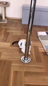 😎Practicando para salir de pobre!!! | Pequeño Juan