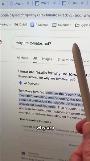 How to Turn Off Google AI Overviews Results