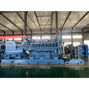 [Hot Item] Saintshine 500/625/650/700kVA Container/Containerized Prime Power Standby Power Continuous Power Gas Generator