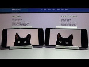 Displays Comparison VIVO Y20s vs ALCATEL 3x 2020 | Screen Qual...