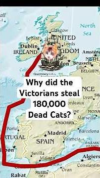 Why Did Victorians Steal 180,000 Dead Cats?