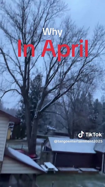 Tango 2025 (@tangoentertainment2025)’s videos with original sound - Tango 2025