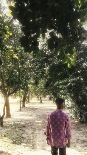 ONLY ONE PARSHON ❤️‍🩹❤️‍🩹🤟🤟👌🍫🍫 #ekmotahathighumechala #love #unfrezzmyaccount #nothingimposibleinth