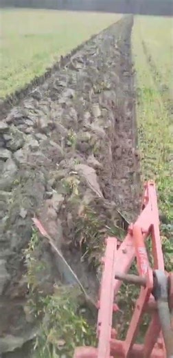 Oranje ledine Rakovica 65