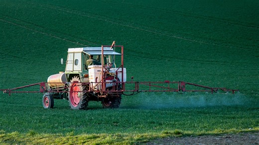 Contamination au cadmium : des dépistages remboursés « à l’automne » en médecine de ville