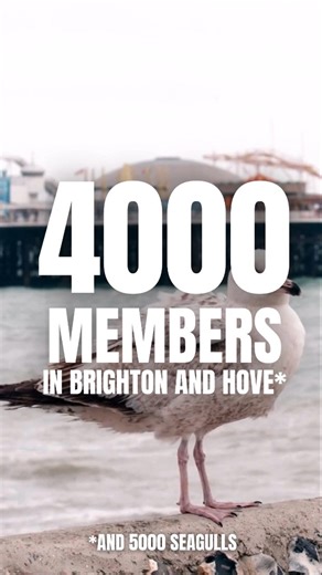 4000 MEMBERS IN BRIGHTON AND HOVE* What about you? join.greenparty.org.uk *and 5000 seagulls #greenparty #brightonandhove #election | Brighton & Hove Green Party